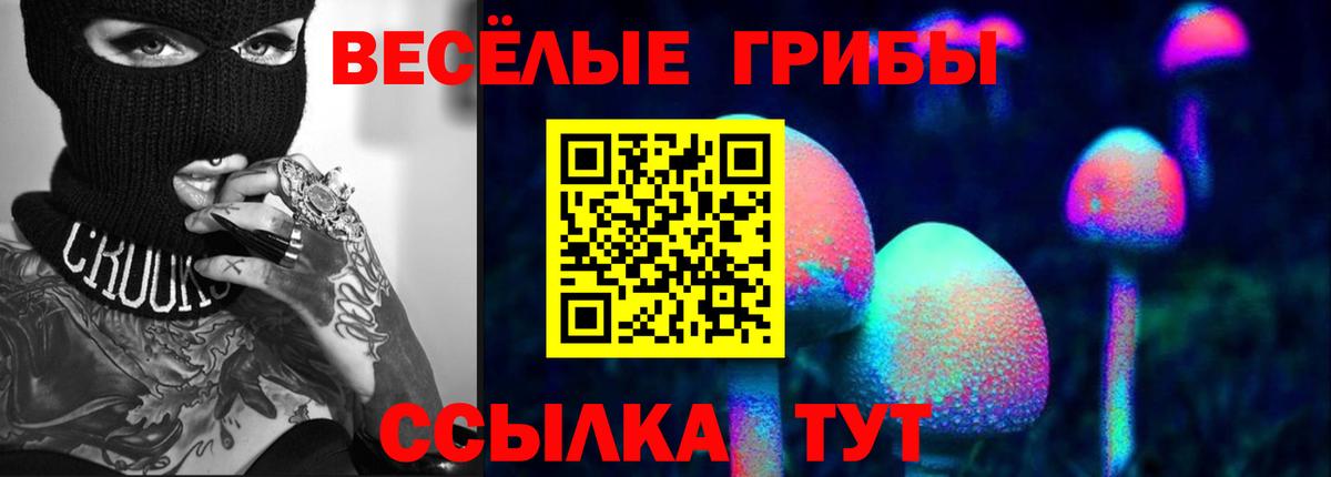 Крымск  Галлюциногенные грибы мицелий  сколько стоит  Псилоцибиновые грибы MAGIC MUSHROOMS  Вход с VPN 
